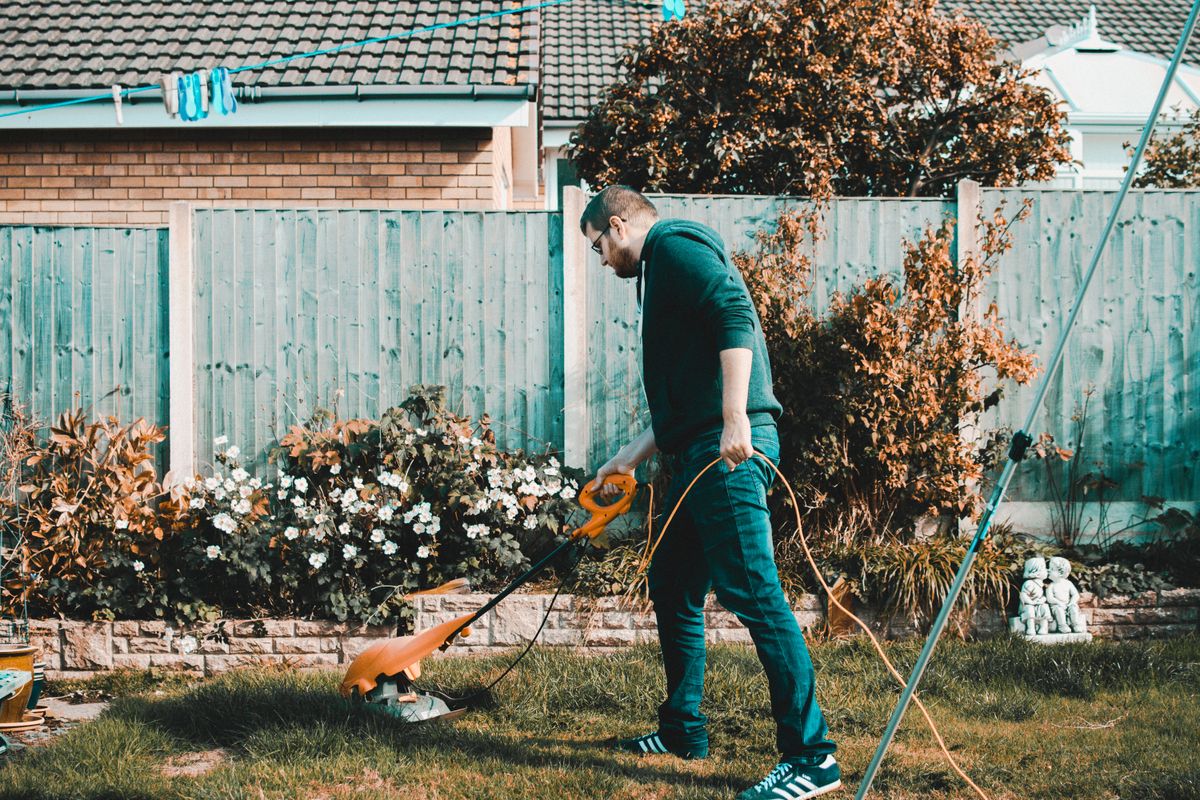 An overgrown fence line mid-cleanup, with a crew member trimming it back