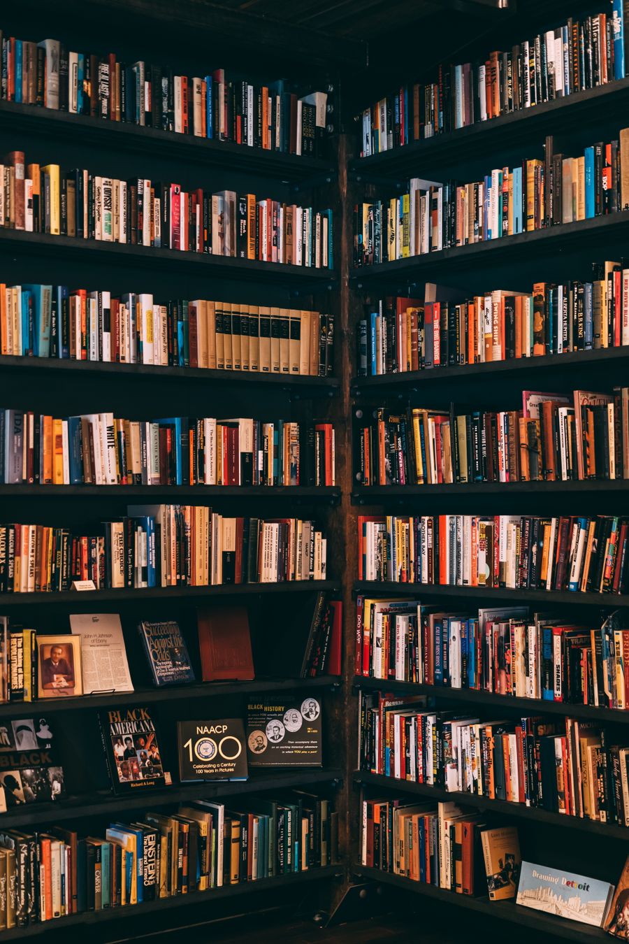 A wall of books on wooden shelves